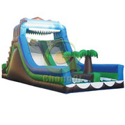 big inflatable slide